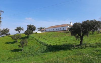 Hotel Preguiça no Montado – Portel  – Amieira Alqueva